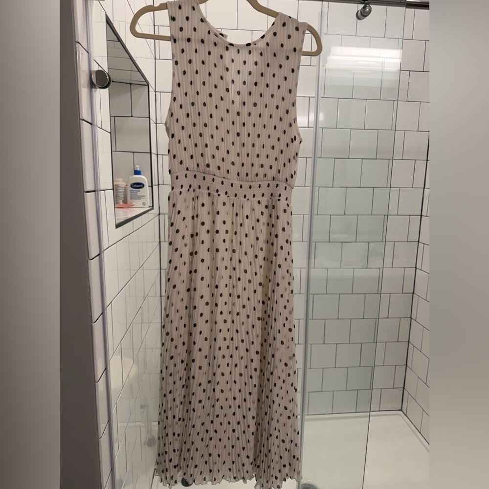 NWOT Aritzia Polka Dot Dress